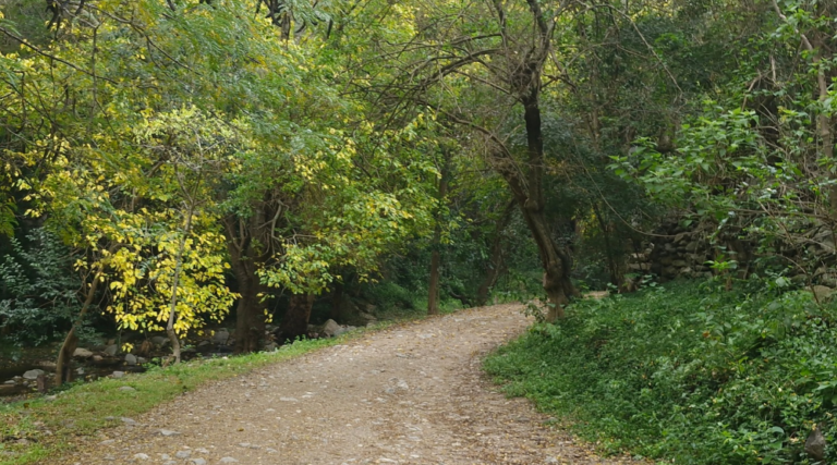 Dios nos conduce por caminos que no conocemos